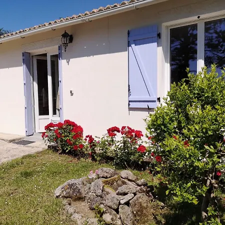 Tatil Evi Chez Belliveau *