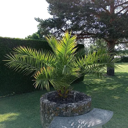 Chez Belliveau Meursac